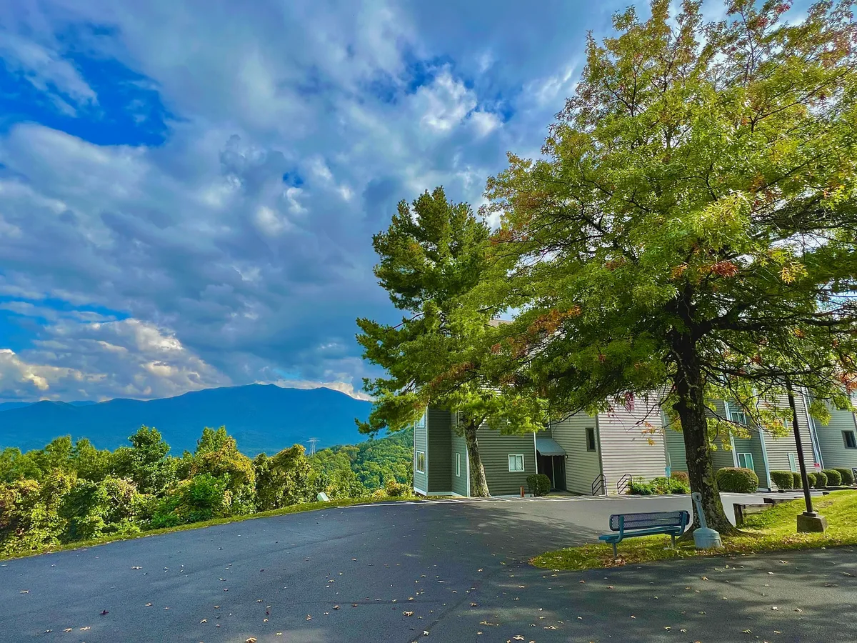 A tranquil exterior image showcasing the building’s facade framed by large trees, a park bench, and sweeping mountain views. The landscaped grounds invite casual strolls or outdoor socializing, set against the natural beauty that draws families to the area.
