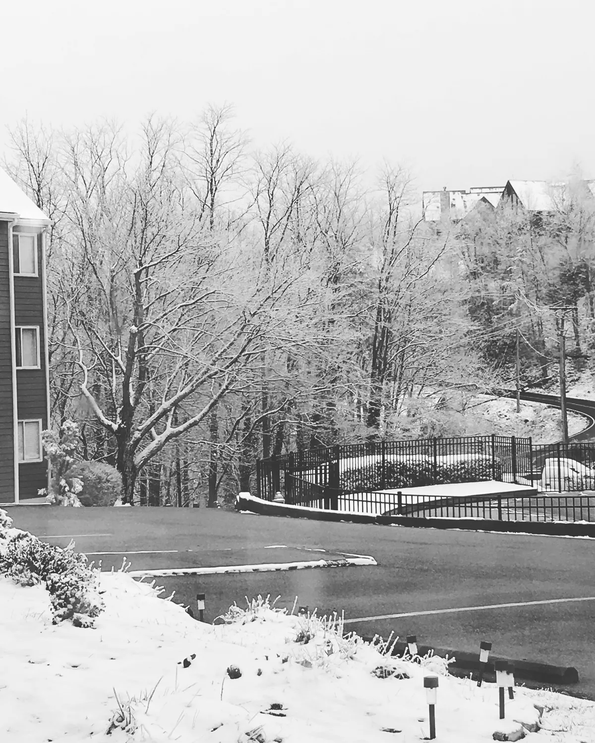 A serene winter scene shows snow-covered trees in the foreground and the Gatlinburg Summit buildings set back among them. A gently curving road leads toward the entrance, inviting guests to explore the community. The snow creates a peaceful, family-friendly atmosphere, emphasizing the mountain retreat’s setting and communal charm.